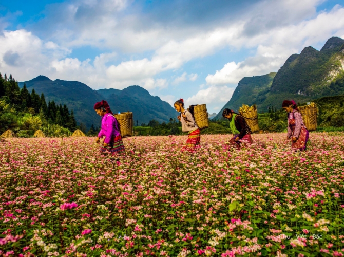 Vietnamtourist Tân Bình